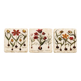 Example of Coasters