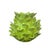 2000 - 2009 Vintage Italian Majolica Green Trompe l'Oeil Artichoke Leaf Vase For Sale - Image 5 of 12