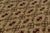 Rug & Kilim Contemporary Sparta Rug Beige Red Green Transitional Floral Pattern For Sale - Image 4 of 6