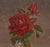 American George Cope Still Life Oil on Canvas, 1906 For Sale - Image 3 of 8