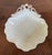Antique 18th Century Wedgwood Creamware Rococo Sea Shell Form Dish With Feathered Edge For Sale - Image 13 of 15