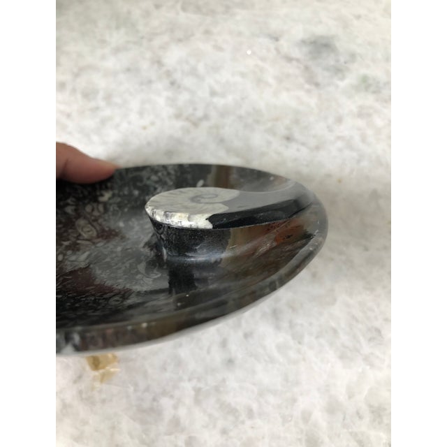 Stone Fossil Dish with Raised Fossil Design | Chairish