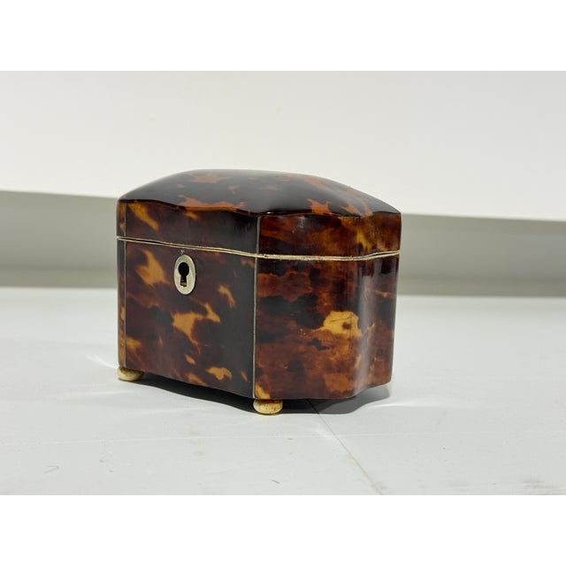Dutch Regency Tortoiseshell Tea Caddy, Circa 1820 For Sale - Image 4 of 10