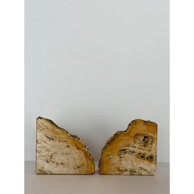 Late 20th Century Vintage Sculptural Petrified Wood Bookends - A Pair For Sale - Image 5 of 11