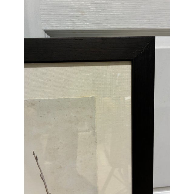 Wood Natural Curiosities William Forsyth “Peach” 1802 Horticultural Botanical Print For Sale - Image 7 of 10