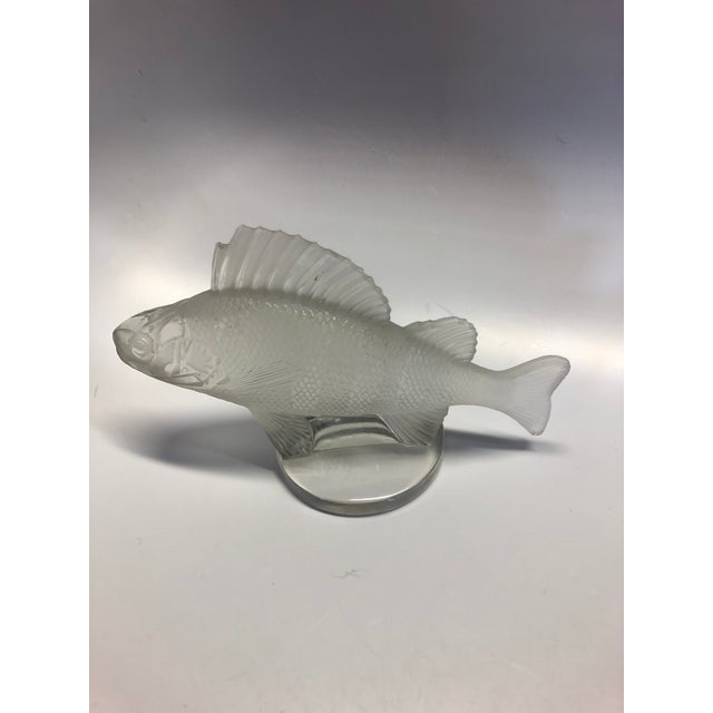 1970s French Lalique Fish Figurine For Sale In Chicago - Image 6 of 6