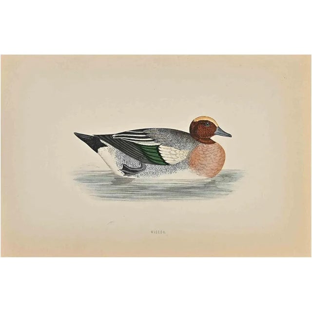 Wigeon is a modern artwork realized in 1870 by the British artist Alexander Francis Lydon (1836-1917). Woodcut print on...