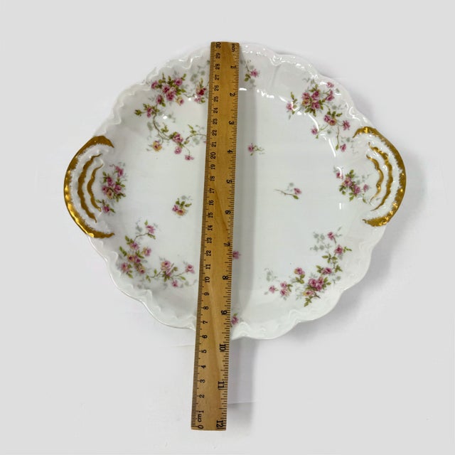 French Early 20th Century Haviland Limoges France Floral Porcelain Platter For Sale - Image 3 of 5