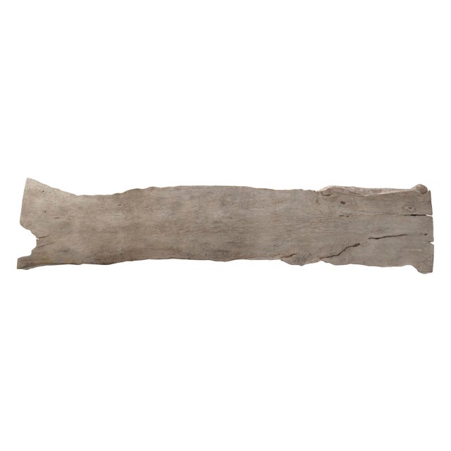 Sand Bleached Organic Form Lychee Wood Slab Top on Patinated Steel Base For Sale - Image 8 of 12