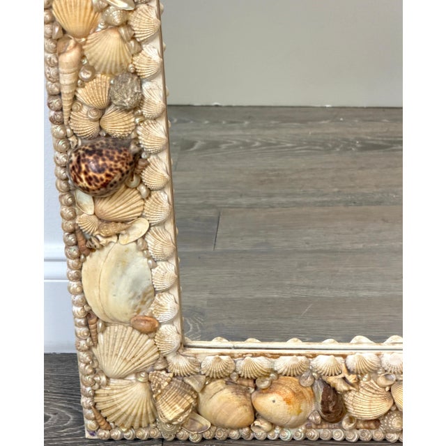 Beige 1960s Coastal Bohemian Specimen Shell Encrusted Mirror with Tiger Cowries For Sale - Image 8 of 14