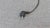 Megaron Terra Floor Lamp in Chrome by Gianfranco Frattini for Artemide, 1990s For Sale - Image 12 of 18