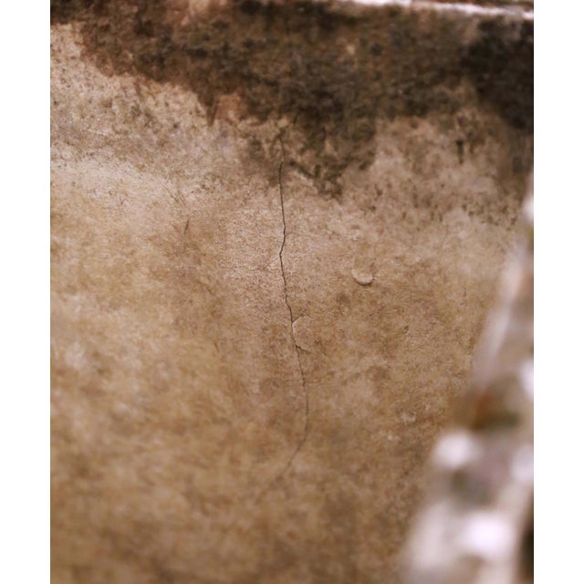 Pair of 19th Century French Normandy Cast Stone Garden Planters For Sale - Image 11 of 11