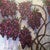 Original Ron Curlee Painting on Canvas, Wisteria For Sale