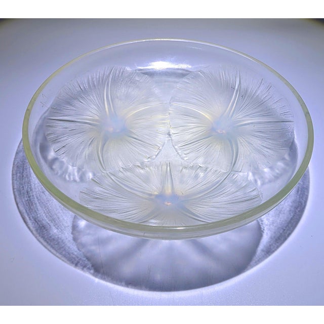 Vintage Opalescent Glass Bowl by René Lalique, 1920s For Sale - Image 6 of 6