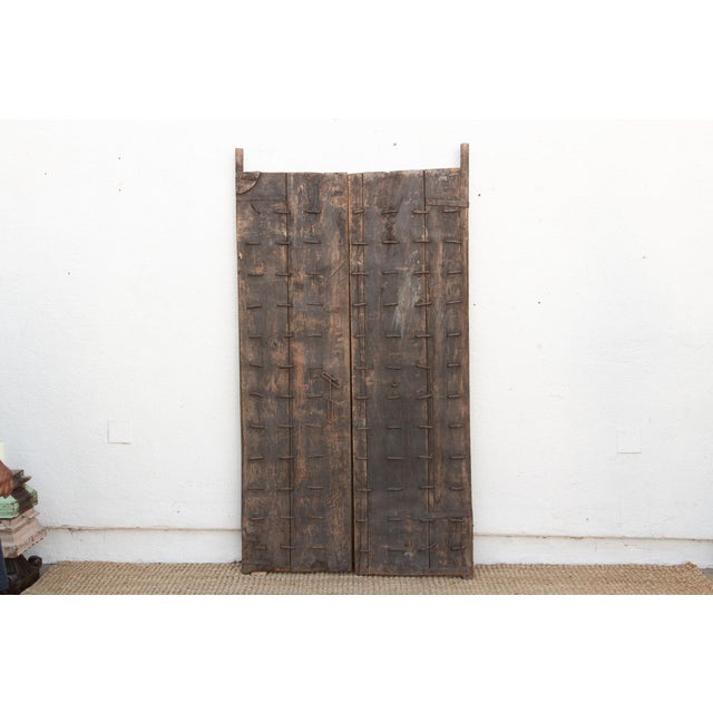 Early 1800's Jaisalmer Carved Teak Doors For Sale - Image 11 of 11
