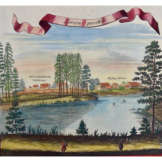 This is an early 18th century hand-colored copperplate engraving of the anatomy of lemons by Johann Christoph Volkhamer,...