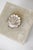 Silver-Plated Shell Dish For Sale - Image 4 of 5