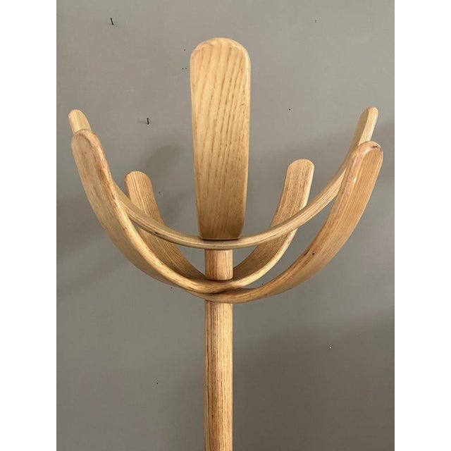 Wood Cactus Coat Rack by Mauro Pasquinelli for Pallavisini, 1970s For Sale - Image 7 of 13