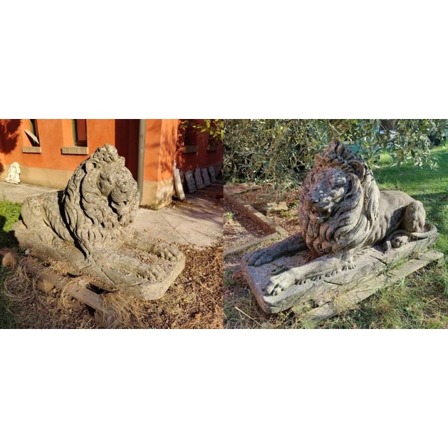 Handcrafted and Sculpted Ofllions in Vicenza Stone, 19th Century, Set of 2 For Sale - Image 4 of 12