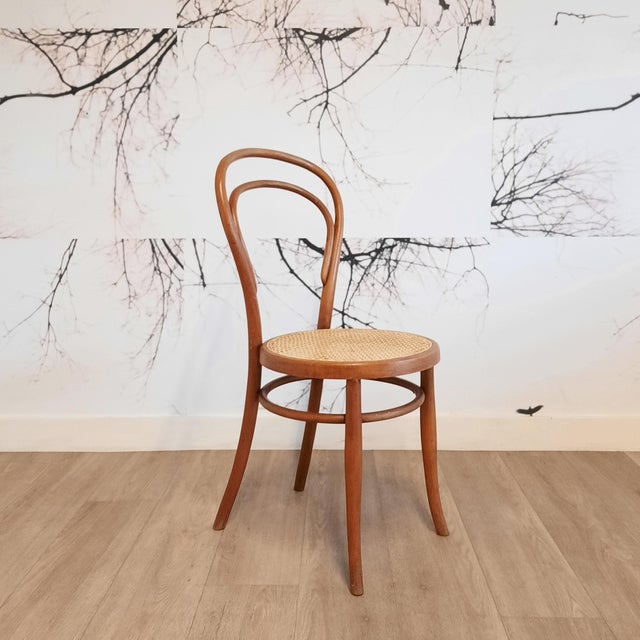 No. 14 Chairs by Josef Hofmann, 1900, Set of 6 For Sale - Image 5 of 15