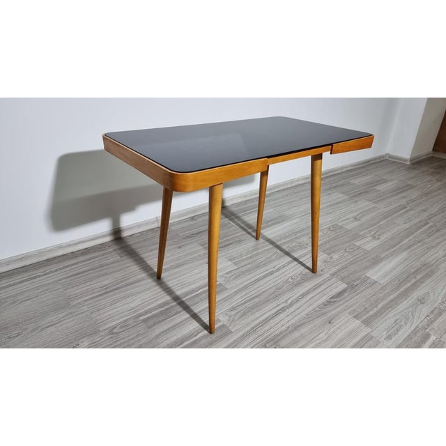 Mid-Century Modern Coffee Table by Jiri Jiroutek for Interier Praha, 1960s For Sale - Image 3 of 14