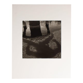 1994 "Tim-Square" Photograph by Frank For Sale