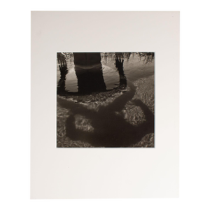1994 "Tim-Square" Photograph by Frank