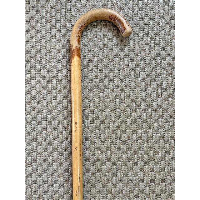 Mid 20th Century Rustic Estate Wood Bamboo Walking Canes - Set of 5 For Sale - Image 15 of 17