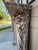 Seashell Encrusted Fireplace Surround and Mantel For Sale - Image 9 of 18