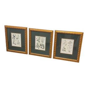 W. King Ambler Antique Botanical Engravings, Set of Three