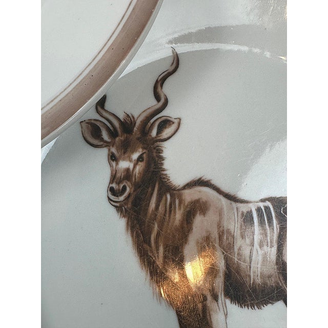 1980's Vintage Mottahedeh Exotic Animals Dinner Plates - Set of 5 For Sale - Image 9 of 11