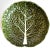 Portuguese Majolica Cabbageware Leaf Serving Bowl For Sale In San Francisco - Image 6 of 6