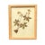 1893 Herbarium Botanical Specimens, Set of 12 For Sale - Image 15 of 17