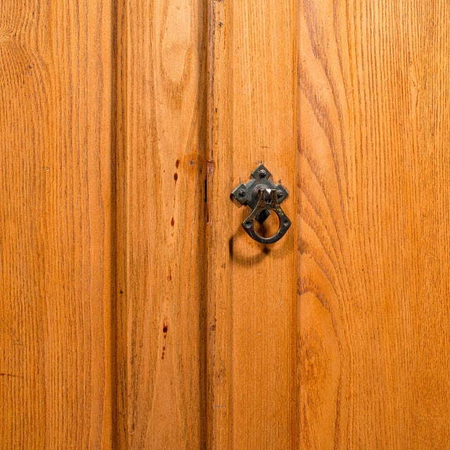 Tall Antique Side Cabinet, English, Ash, Book Cupboard, Hall, Lounge, Victorian For Sale - Image 9 of 10