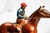Brown Colorful Horse Jockey Antique Cold Painted Bronze Sculpture Statue Bookends Equestrian For Sale - Image 8 of 18