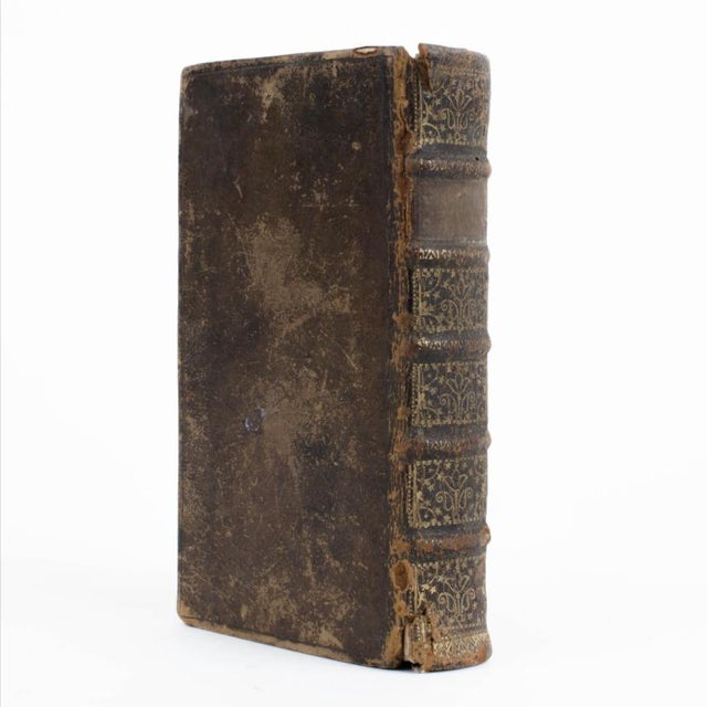 Animal Skin Joannem Jan Opstraet - Theologus Christianus, Sive Ratio Studij Et Vitae, 1698 For Sale - Image 7 of 12