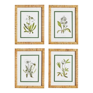 White Floral Study, Set Of 4 For Sale