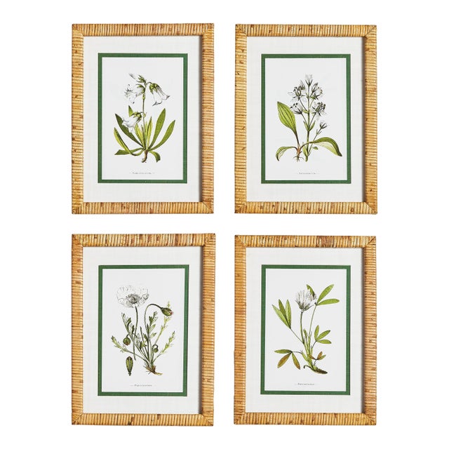 White Floral Study, Set Of 4 For Sale