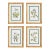 White Floral Study, Set Of 4 For Sale