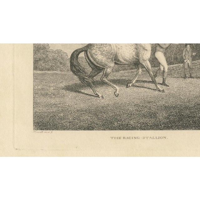 Samuel Howitt, The Racing Stallion, 1800, Engraving For Sale - Image 6 of 9