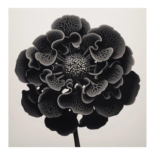20' X 20' 'Heliotropium' Flower - Black and White Limited Edition Botanical Floral Photograph Print, Unframed For Sale