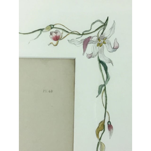 English Botanical Water Color Silhouette Framed Prints by Julia Winship - a Pair For Sale - Image 11 of 13