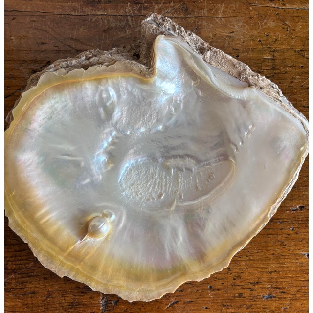 Vintage Mother of Pearl Caviar Serving Set Gold Lipped Shell Bowl With 2 Spoons For Sale - Image 4 of 12