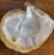 Vintage Mother of Pearl Caviar Serving Set Gold Lipped Shell Bowl With 2 Spoons For Sale - Image 4 of 12