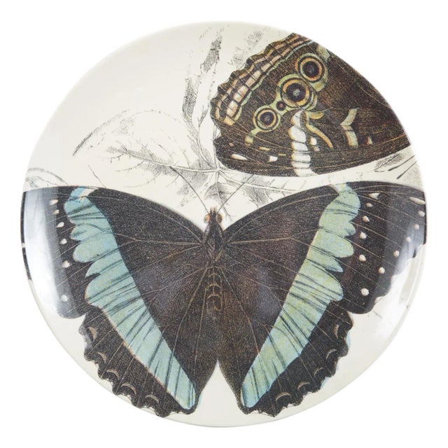 Specimen Butterfly Large Round Tray For Sale