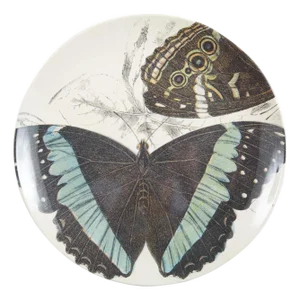 Specimen Butterfly Large Round Tray