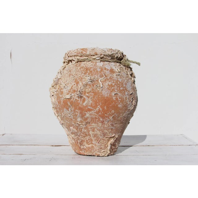 19th Century 19th Century Antique Terracotta Octopus Trap Undersea Pot For Sale - Image 5 of 13