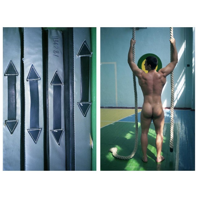 Schwarzenegger is my idol 12' limited edition hahnemühle rag baryta print edition size 10 only. Large 20 x 24'' inches...