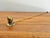 Metal Vintage Colonial Candle Snuffer For Sale - Image 7 of 7