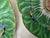 Set of 4 Antique Chinese Export Porcelain Famille Verte” Boc Choy Leaf” 6”plates For Sale - Image 10 of 12